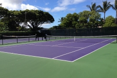 Tennis and Pick Ball Courts
