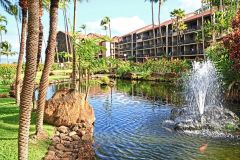 Koi Pond-View from Lanai