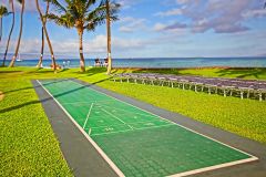 Shuffleboard