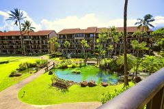 View from Lanai-Koi Pond