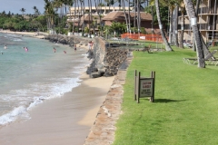 Papakea Ocean Front Resort-Facing North