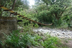 Swinging Bridge - Maui