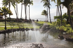 Manicured Grounds and Koi Pond at Papakea Ocean front resort
